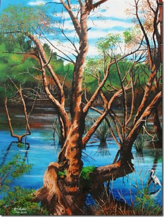 “Canning Wetlands 1” Kent Street Weir